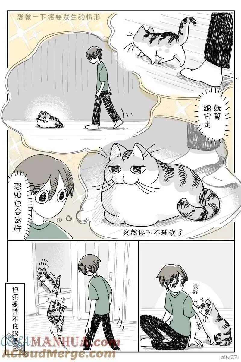 关于养猫我一直是新手漫画,第183话3图