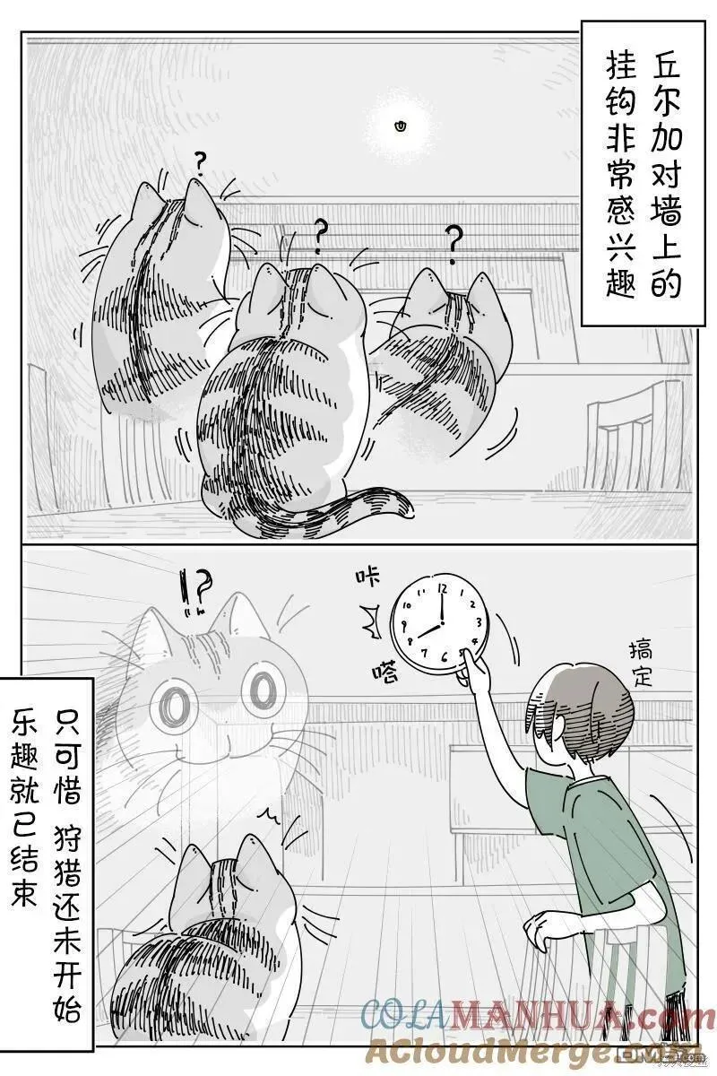 关于养猫我一直是新手动漫在线观看漫画,第184话3图