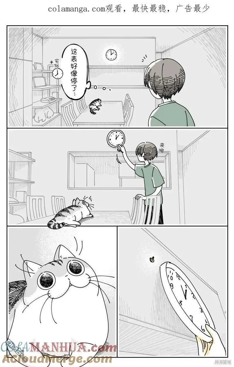 关于养猫我一直是新手动漫在线观看漫画,第184话1图