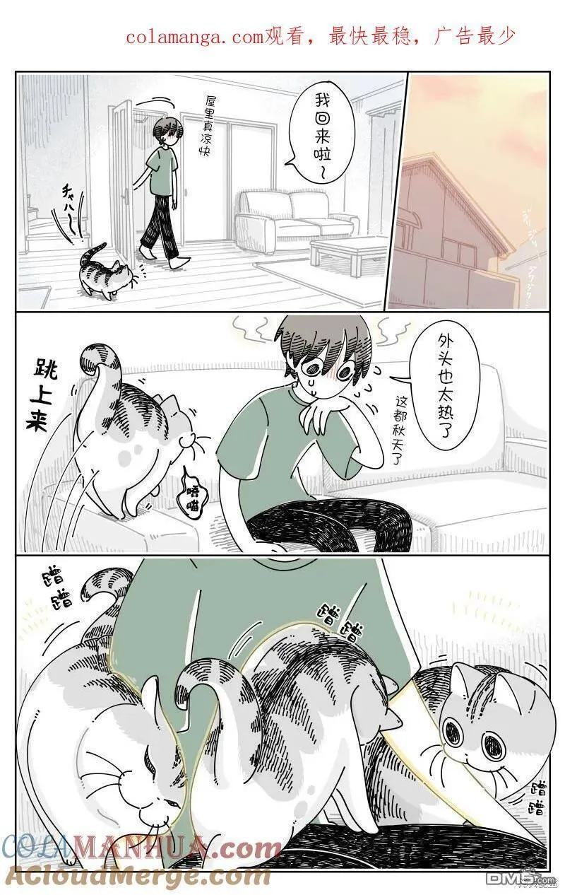 关于养猫我一直是新手动漫在线观看漫画,第184话5图