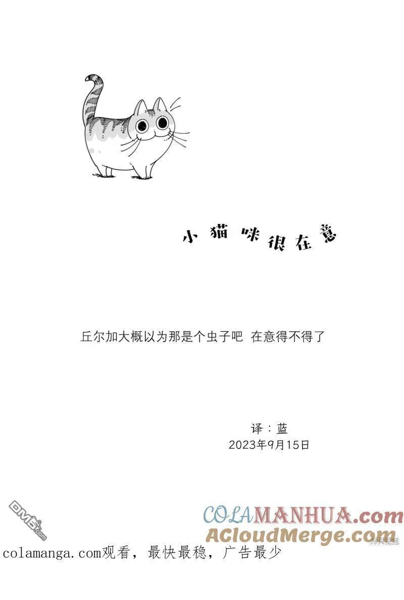 关于养猫我一直是新手动漫在线观看漫画,第184话4图