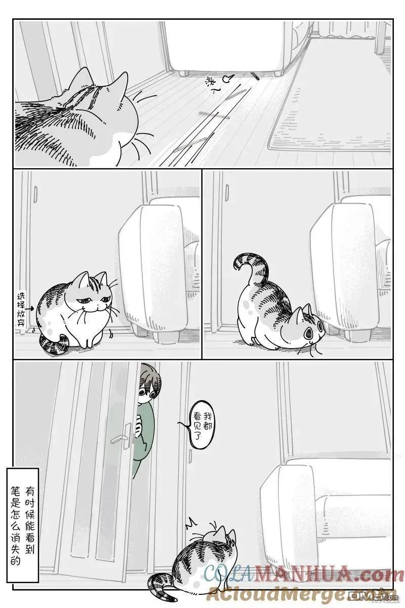 关于养猫我一直是新手 图片漫画,第189话3图