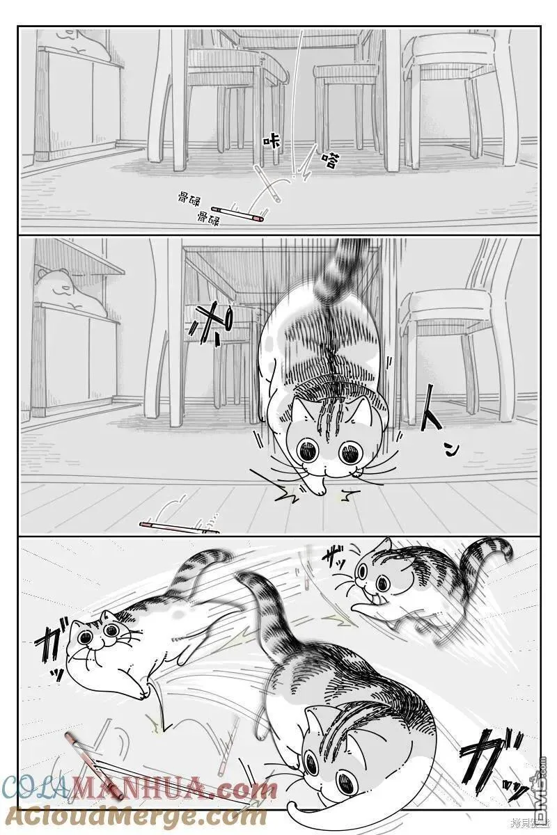 关于养猫我一直是新手 图片漫画,第189话2图