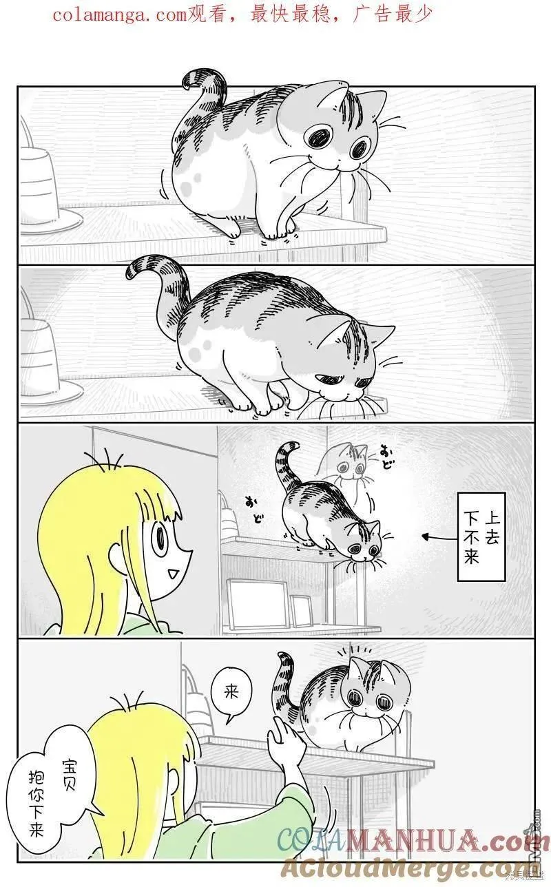 关于养猫我一直是新手 图片漫画,第190话1图