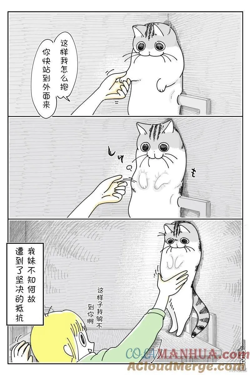 关于养猫我一直是新手 图片漫画,第190话3图