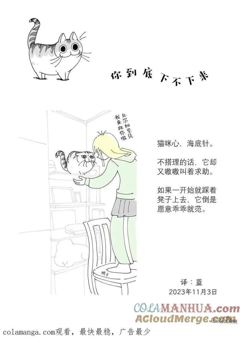 关于养猫我一直是新手 图片漫画,第190话4图