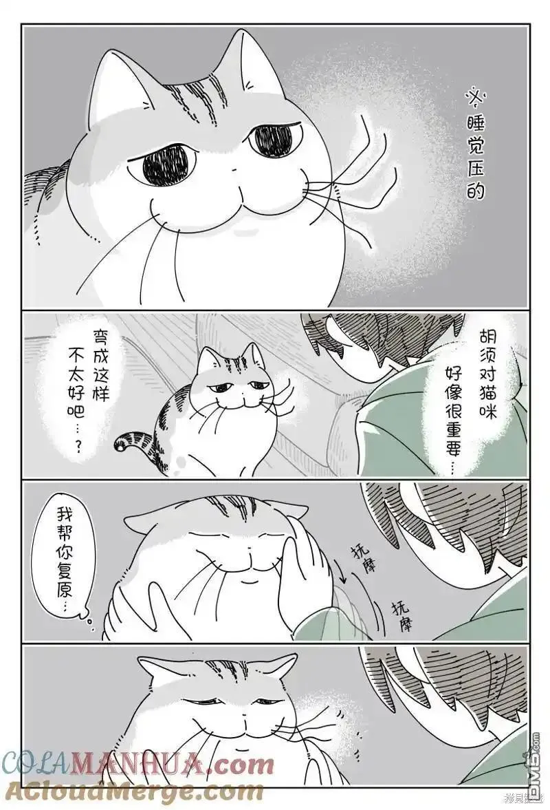 关于养猫我一直是新手 图片漫画,第192话2图