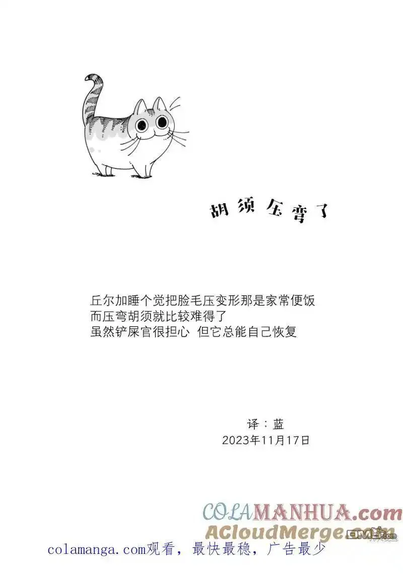 关于养猫我一直是新手 图片漫画,第192话4图