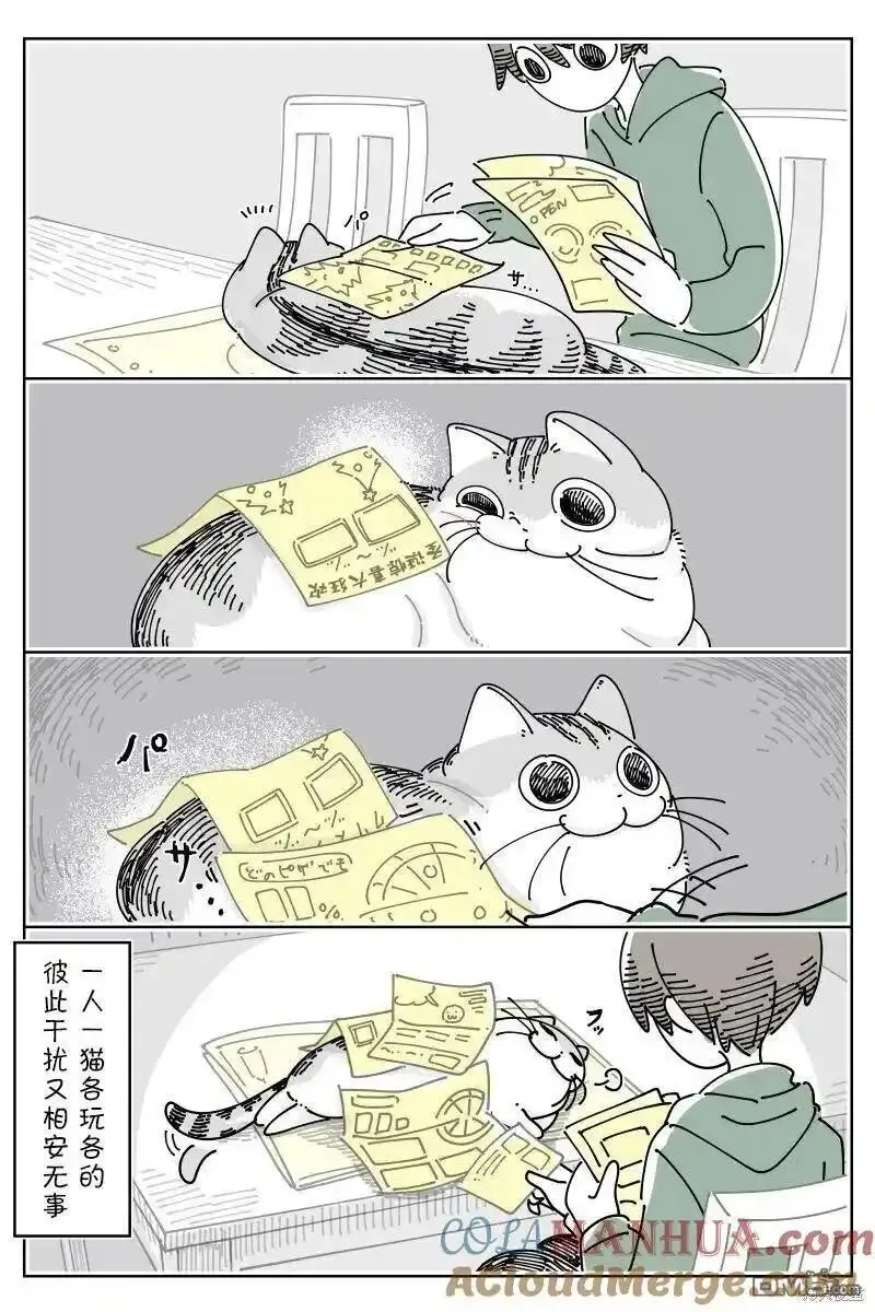 关于养猫我一直是新手动漫在线观看漫画,第197话3图