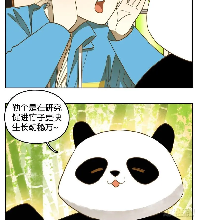 妖怪酒馆漫画,第264话 围城之青（四）5图