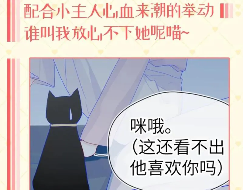 星辰于我1-100集原声版漫画,第40期 猫猫仙贝的悠闲生活9图