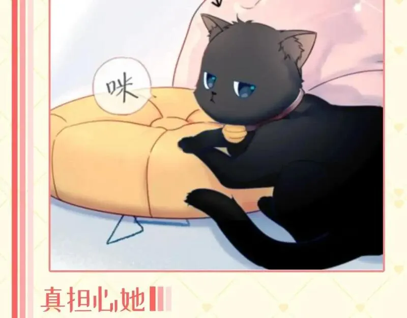 星辰于我漫画,第40期 猫猫仙贝的悠闲生活3图