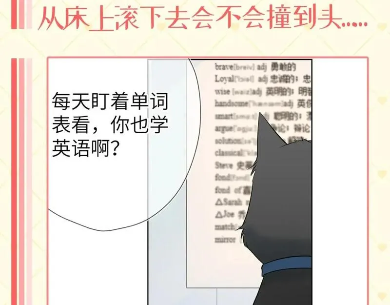 星辰于我漫画,第40期 猫猫仙贝的悠闲生活4图