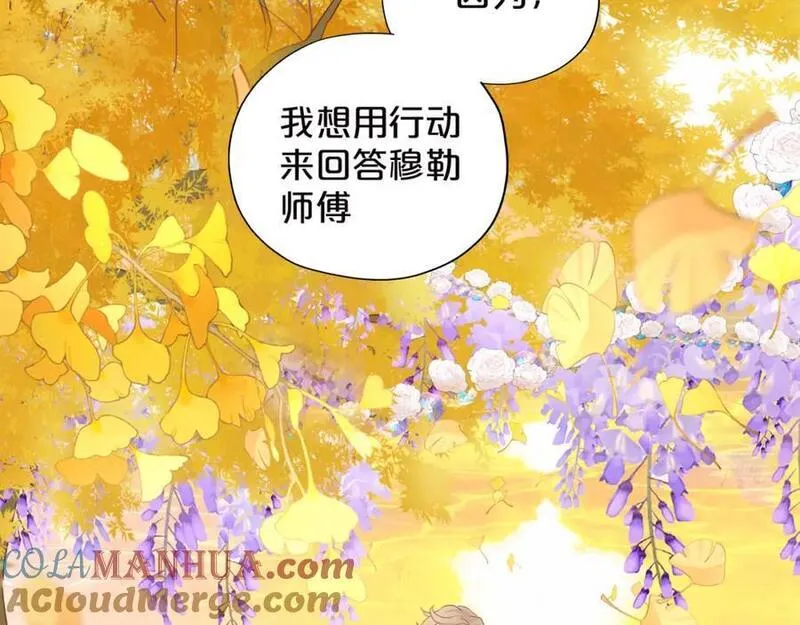 狄奥多之歌漫画全集免费在线观看漫画,第179话 我们的秘密婚礼13图