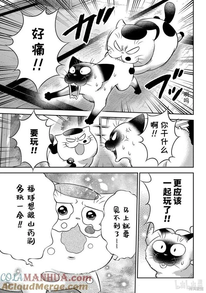 大叔与猫漫画,第102话17图