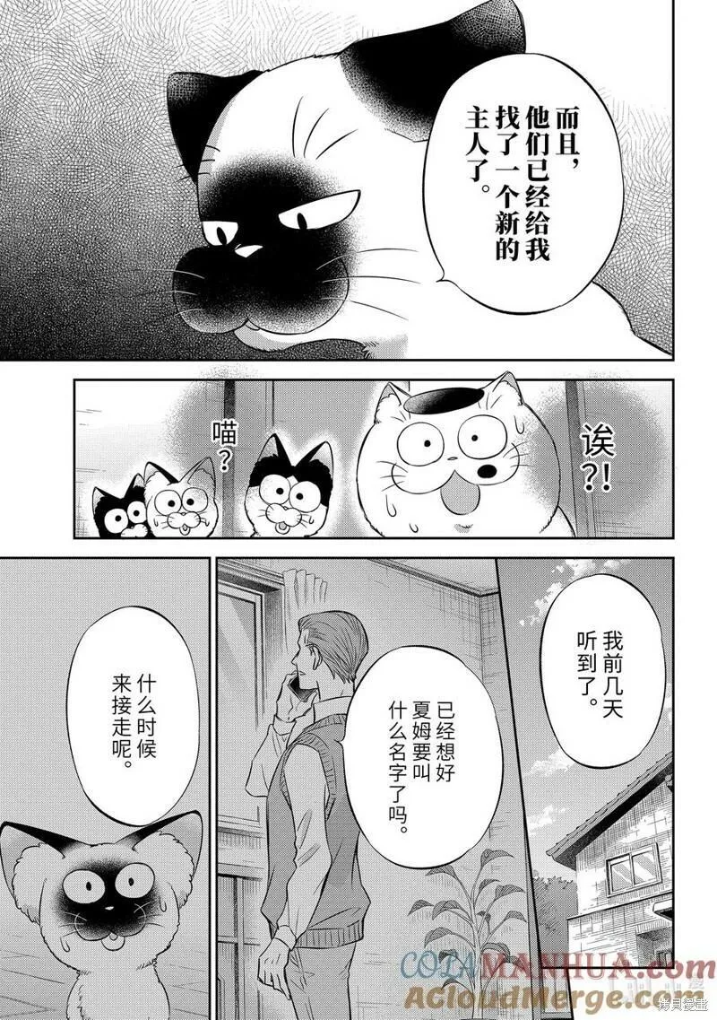 大叔与猫漫画,第102话15图