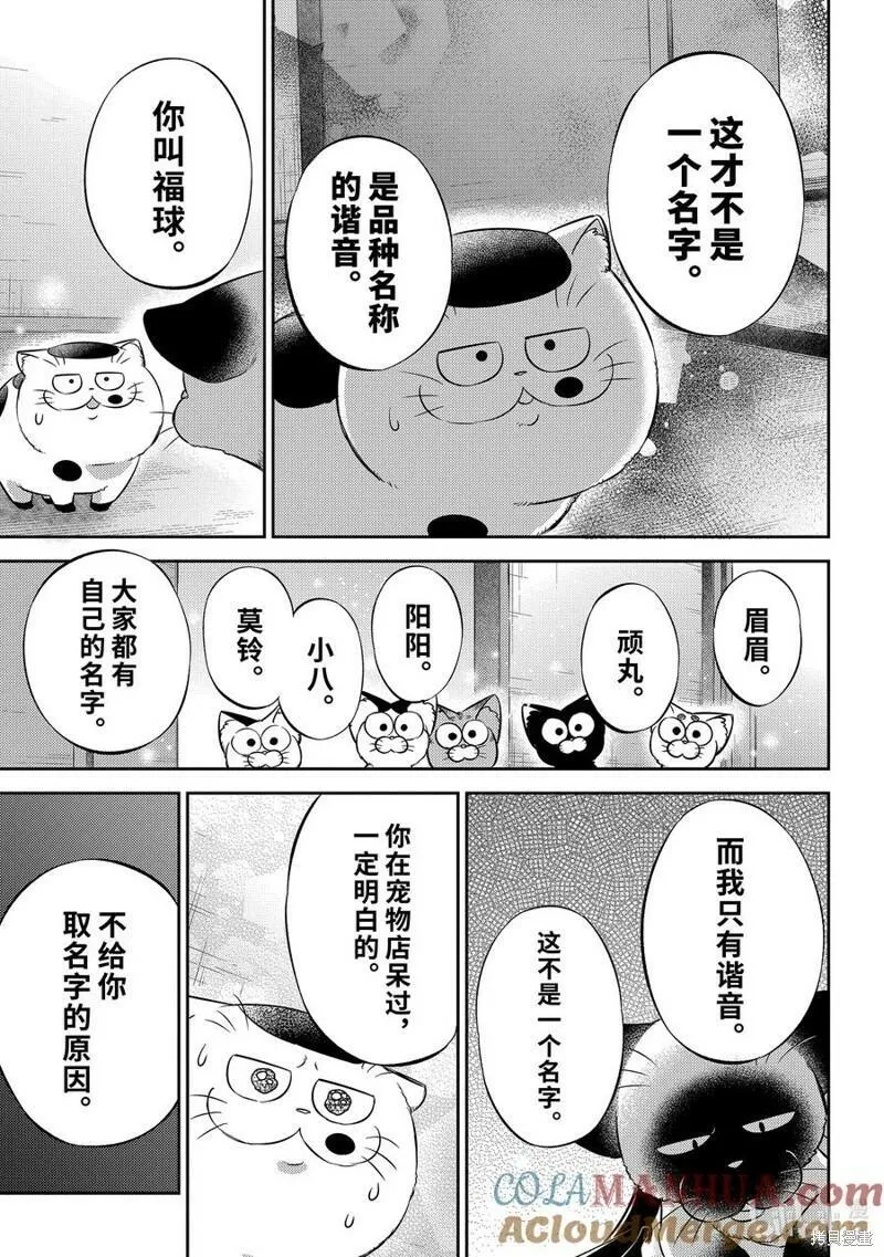 大叔与猫漫画,第102话11图