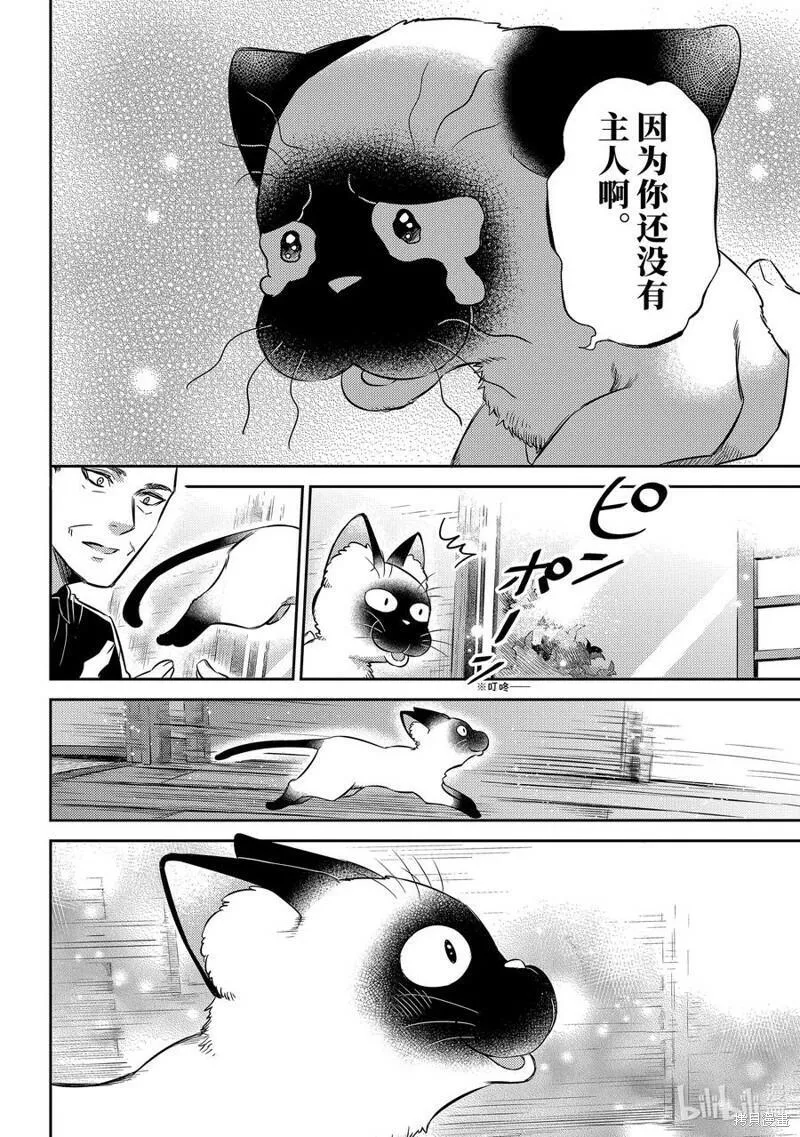 大叔与猫漫画,第102话12图