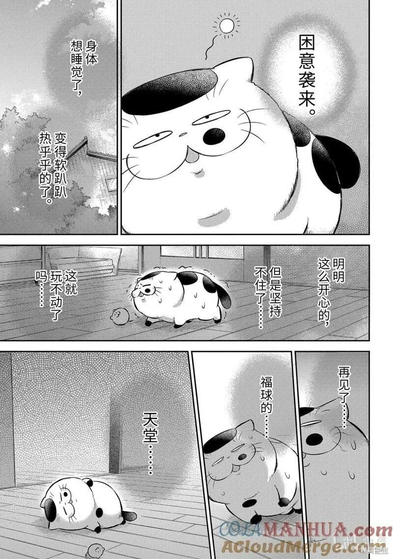 大叔与猫漫画,第103话13图