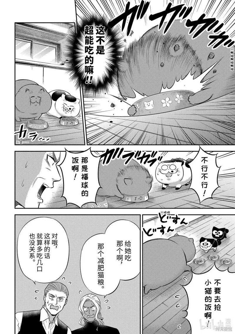 大叔与猫漫画,第105话14图