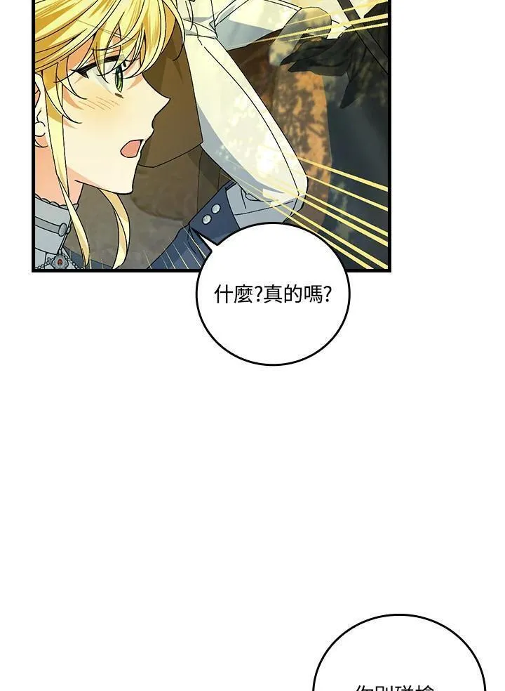 童话里反派的完美结局漫画,第66话102图