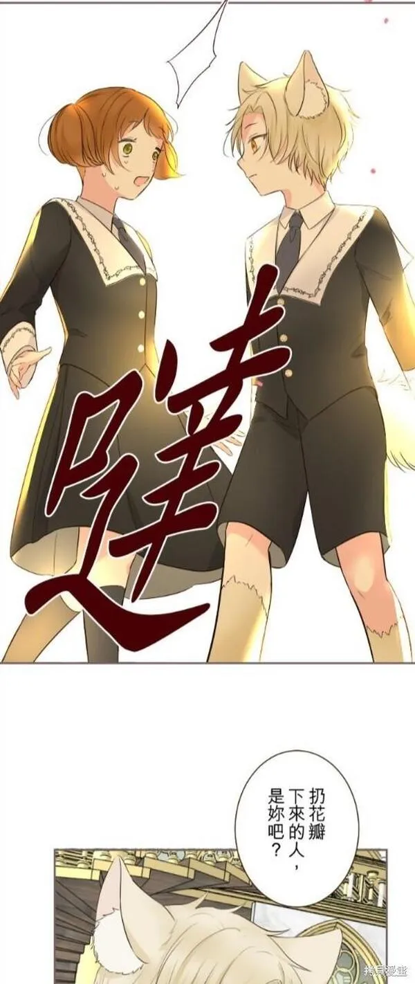 龙骑士与转生圣女漫画,第106话9图