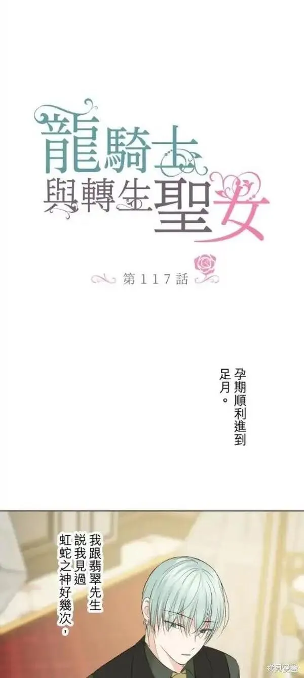 龙骑士与转生圣女漫画,第117话1图