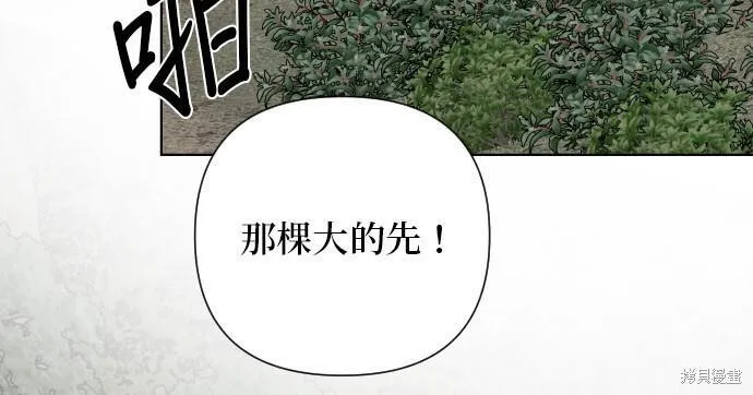 重生骑士的名媛生活原著小说漫画,第83话49图