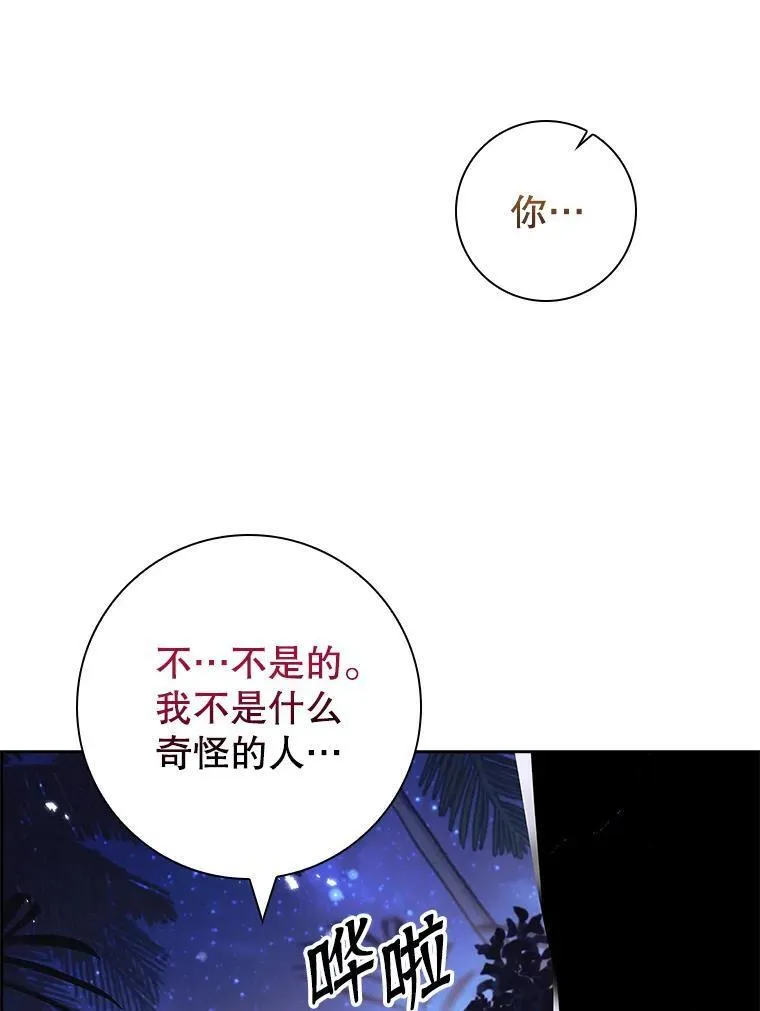 阁楼里的公主又叫什么漫画,67.流浪者们36图