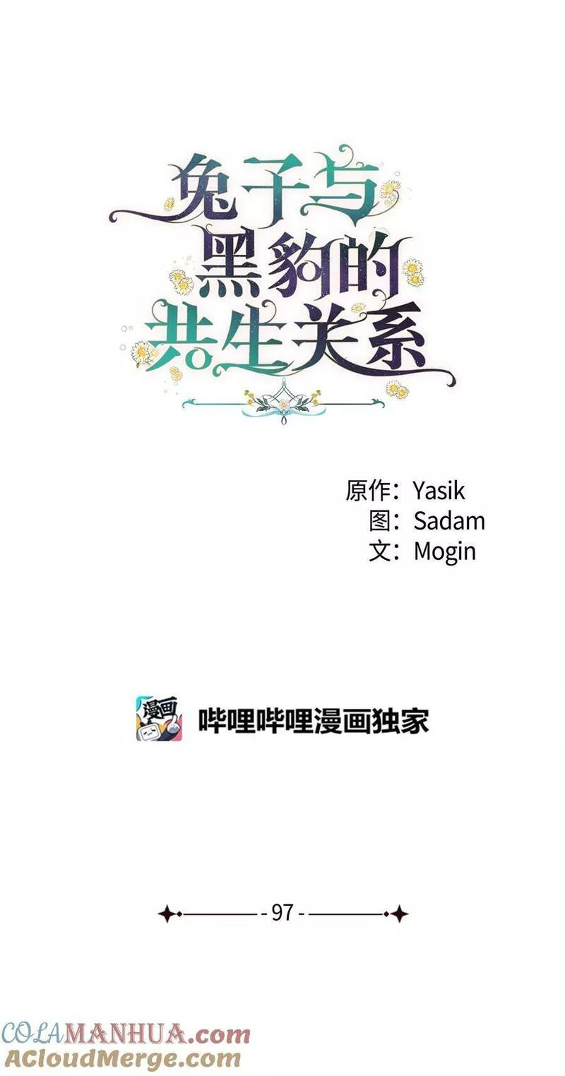 兔子与黑豹的共生关系小说叫什么漫画,97 机缘34图