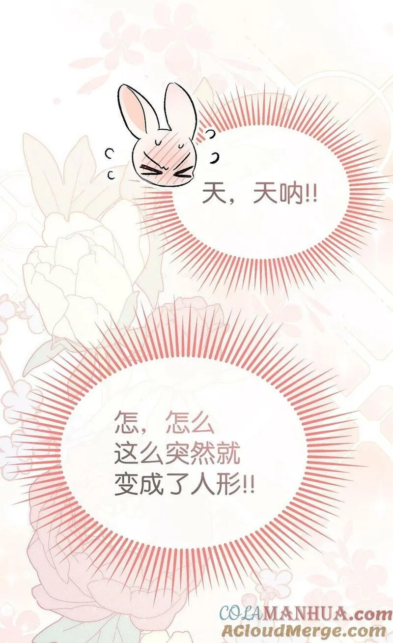 兔子与黑豹的共生关系漫画免费阅读古风漫画网漫画,105 前爪时代！67图