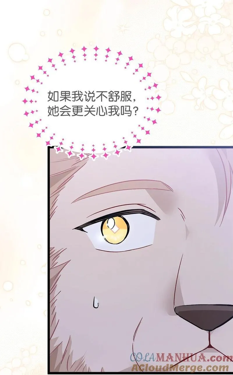 兔子与黑豹的共生关系免费漫画,107 狮子的求偶舞28图