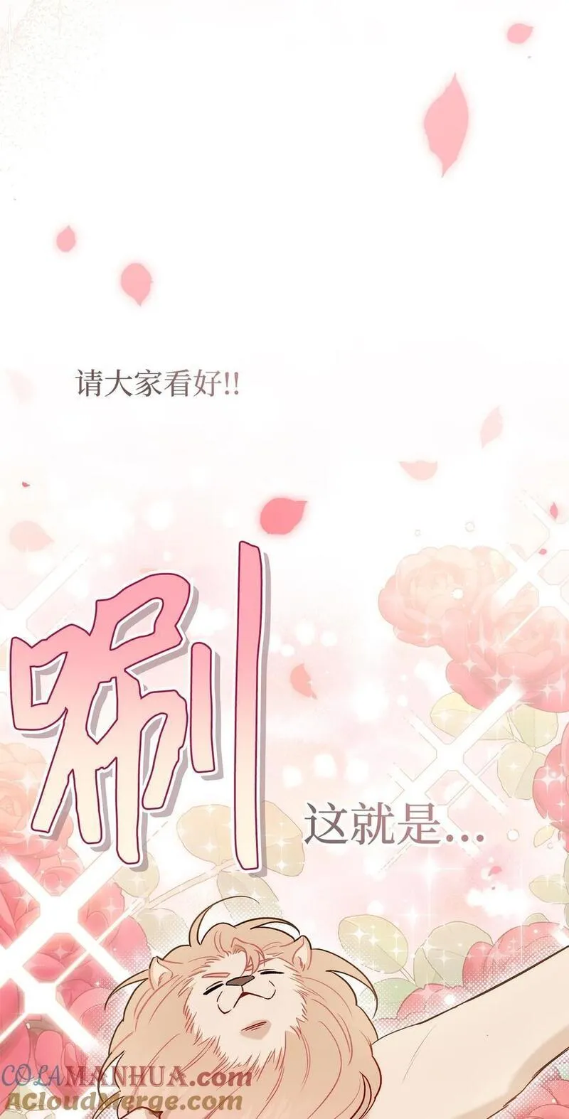 兔子与黑豹的共生关系免费漫画,107 狮子的求偶舞49图