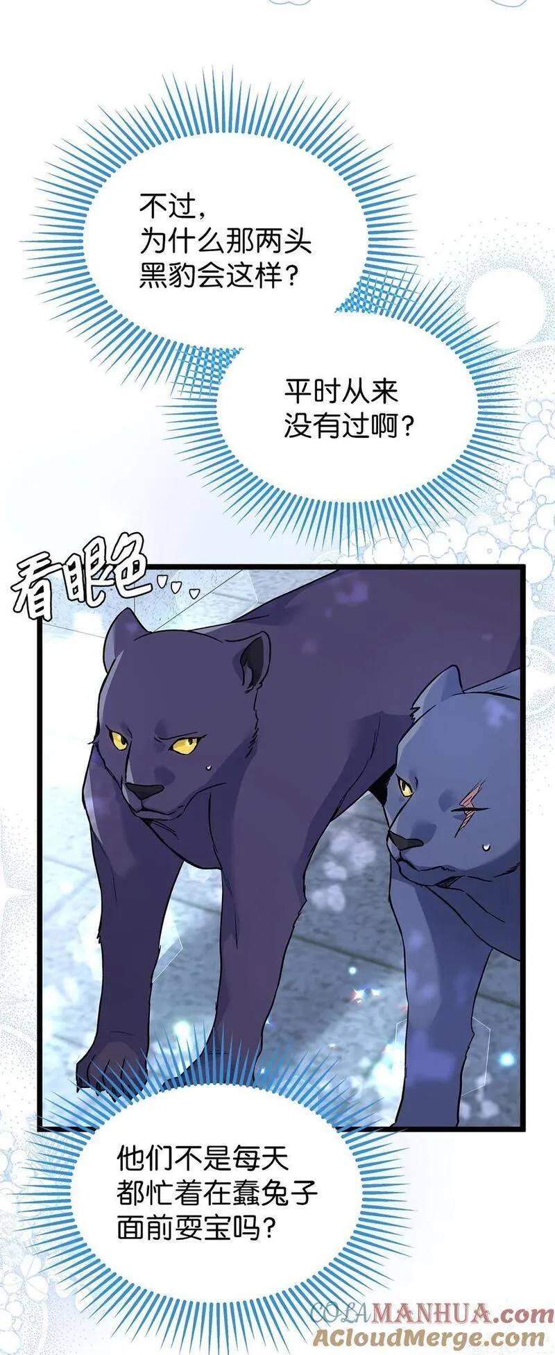 兔子与黑豹的共生关系小说笔趣阁漫画,112 生日的最后25图