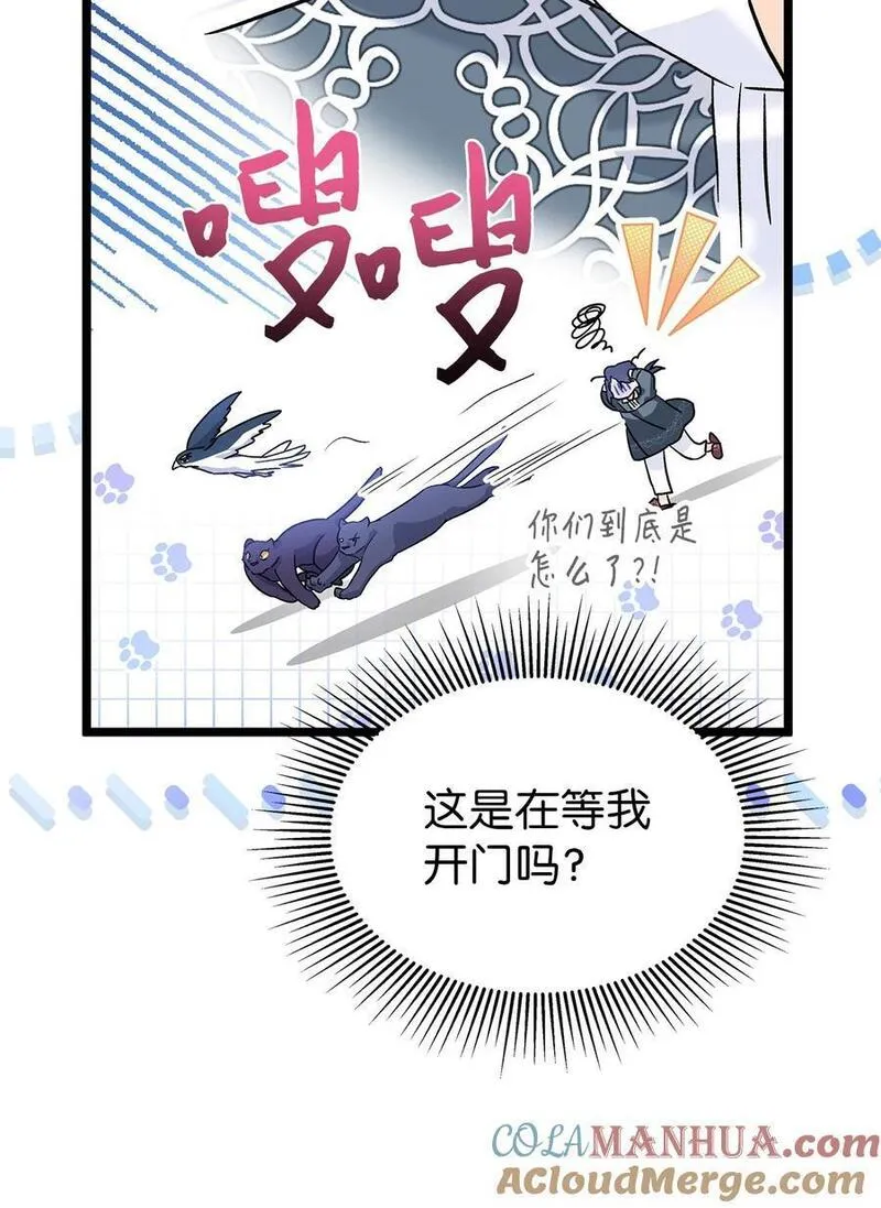 兔子与黑豹的共生关系漫画免费阅读古风漫画网漫画,115 磨难10图