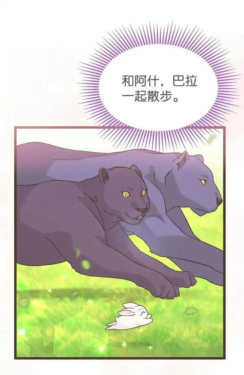 兔子与黑豹的共生关系漫画免费阅读古风漫画网漫画,124 彼此的思念39图