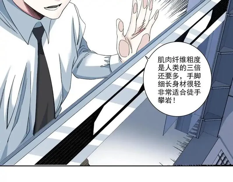 我打造了长生俱乐部陆离漫画免费阅读有哪些可以看漫画,第245话 飞喽～！！！！！！！！36图