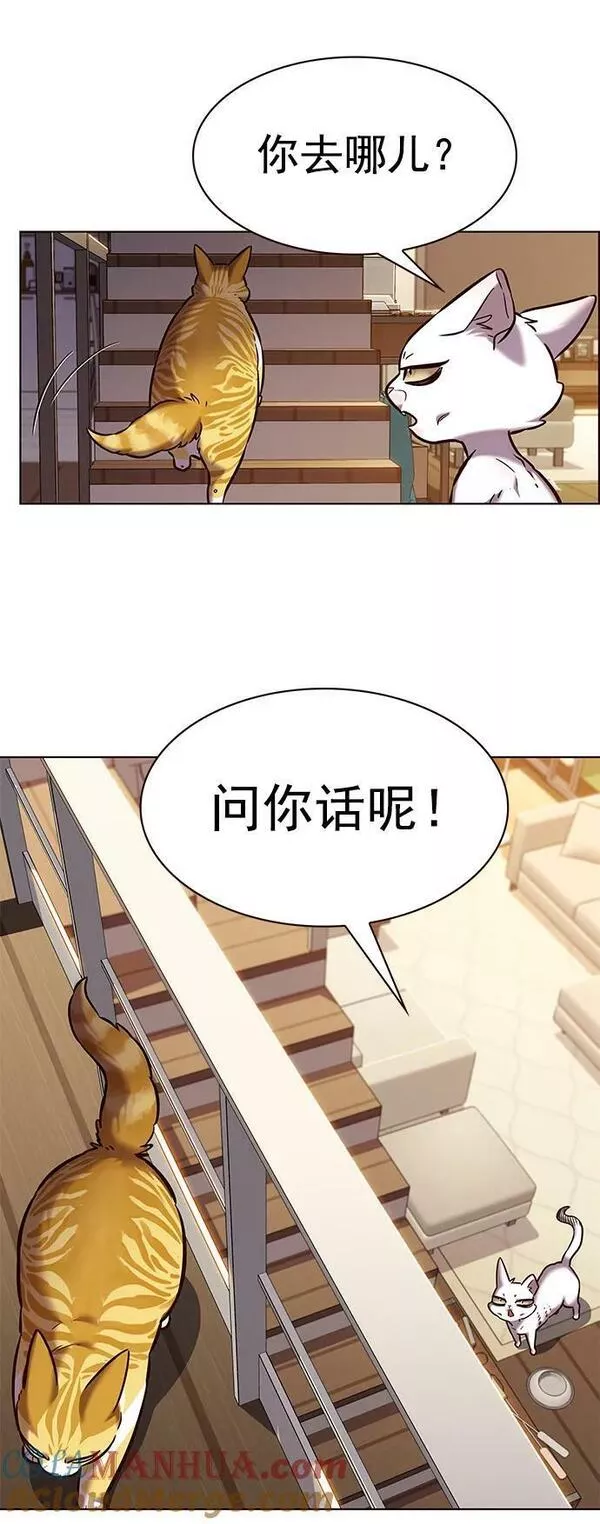 觉醒吧铲屎官325漫画,第241话73图