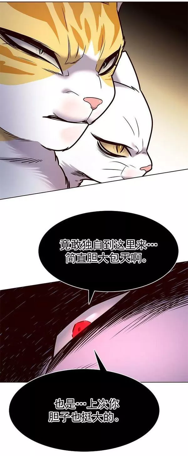 觉醒吧铲屎官310漫画,第245话62图