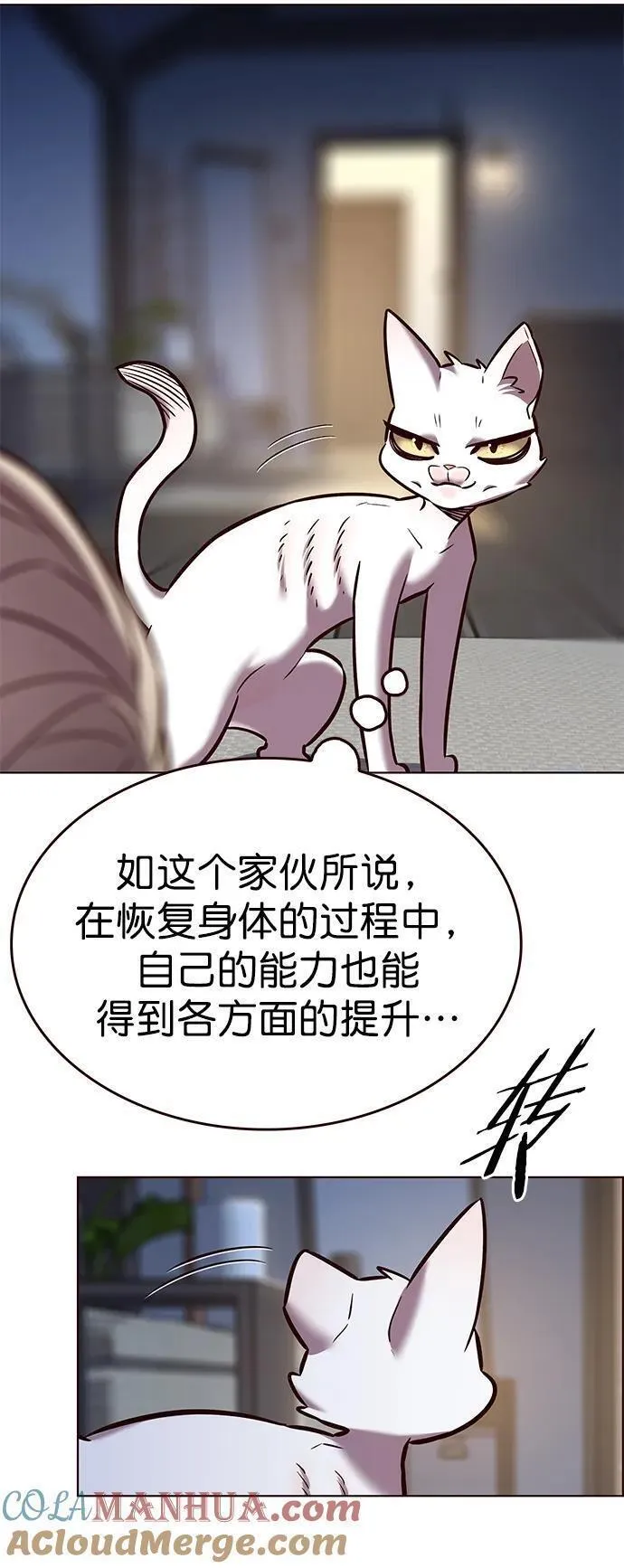 觉醒吧铲屎官162漫画,第262话67图