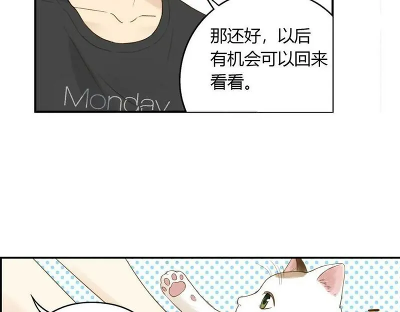 薄荷之夏在哪儿拍的漫画,第24话 再见，大蓝象33图