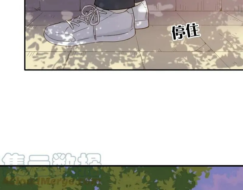 薄荷之夏免费观看漫画,第66话 鼓励97图