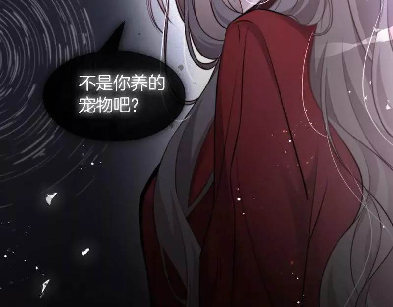 被大佬们团宠后我野翻了免费全集漫画,第164话 我是你的宠物？73图