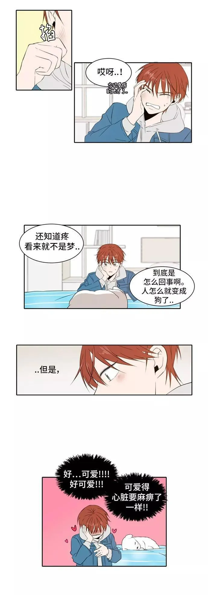 每天可爱一点点漫画,第11话14图