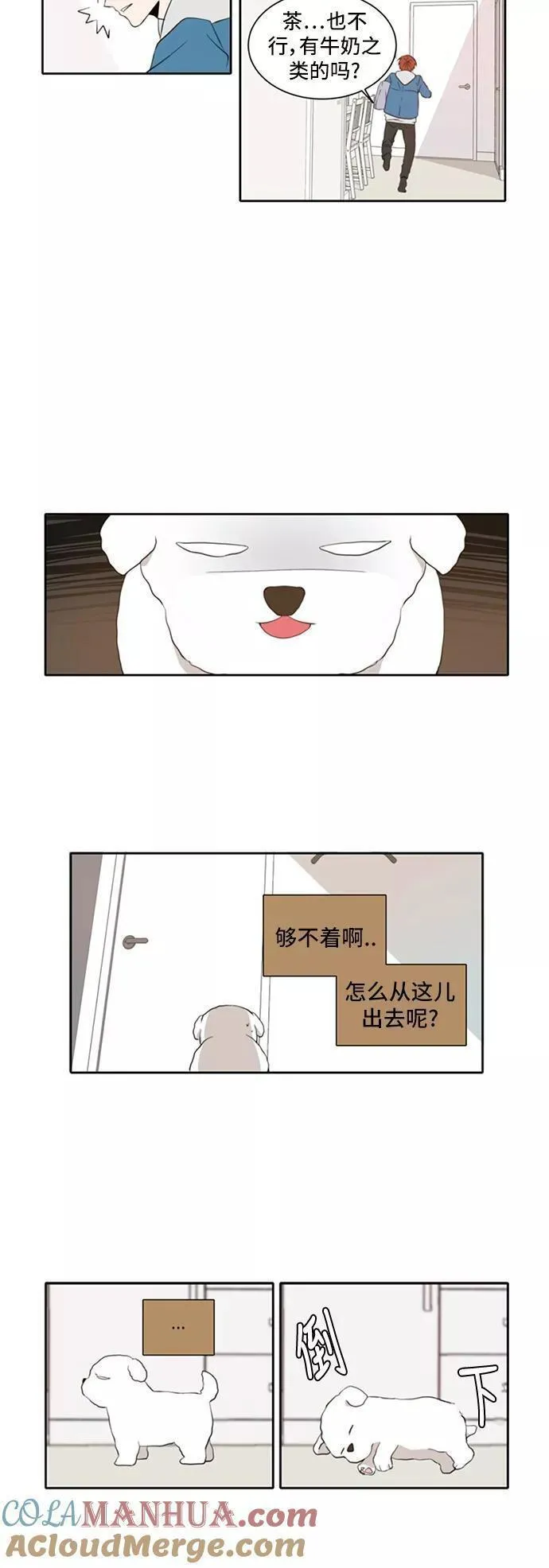 每天可爱一点点漫画,第11话11图