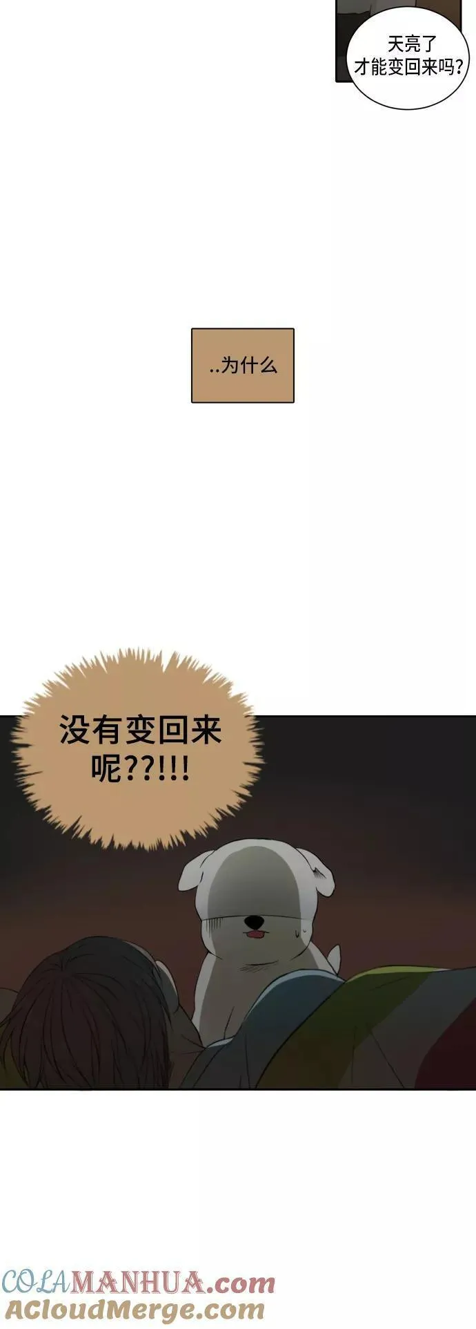 每天可爱一点点漫画,第21话3图