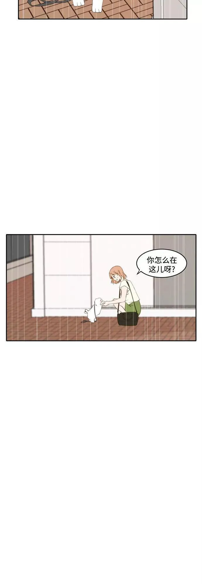 每天可爱一点点漫画,第64话35图