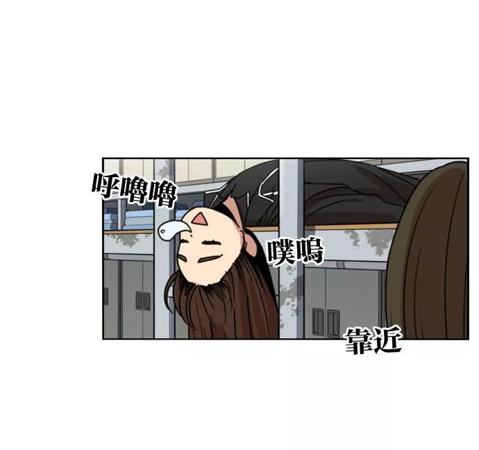 妹力大头兵漫画,第174话41图