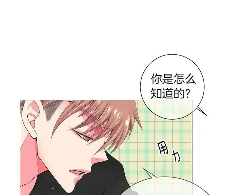 名花虽有主的下一句是什么漫画,第三季 第2话 请停下来！24图