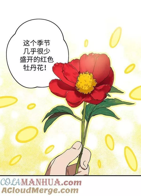 落日夕阳冰冷目光漫画免费漫画,[第130话] 庆典（3）10图